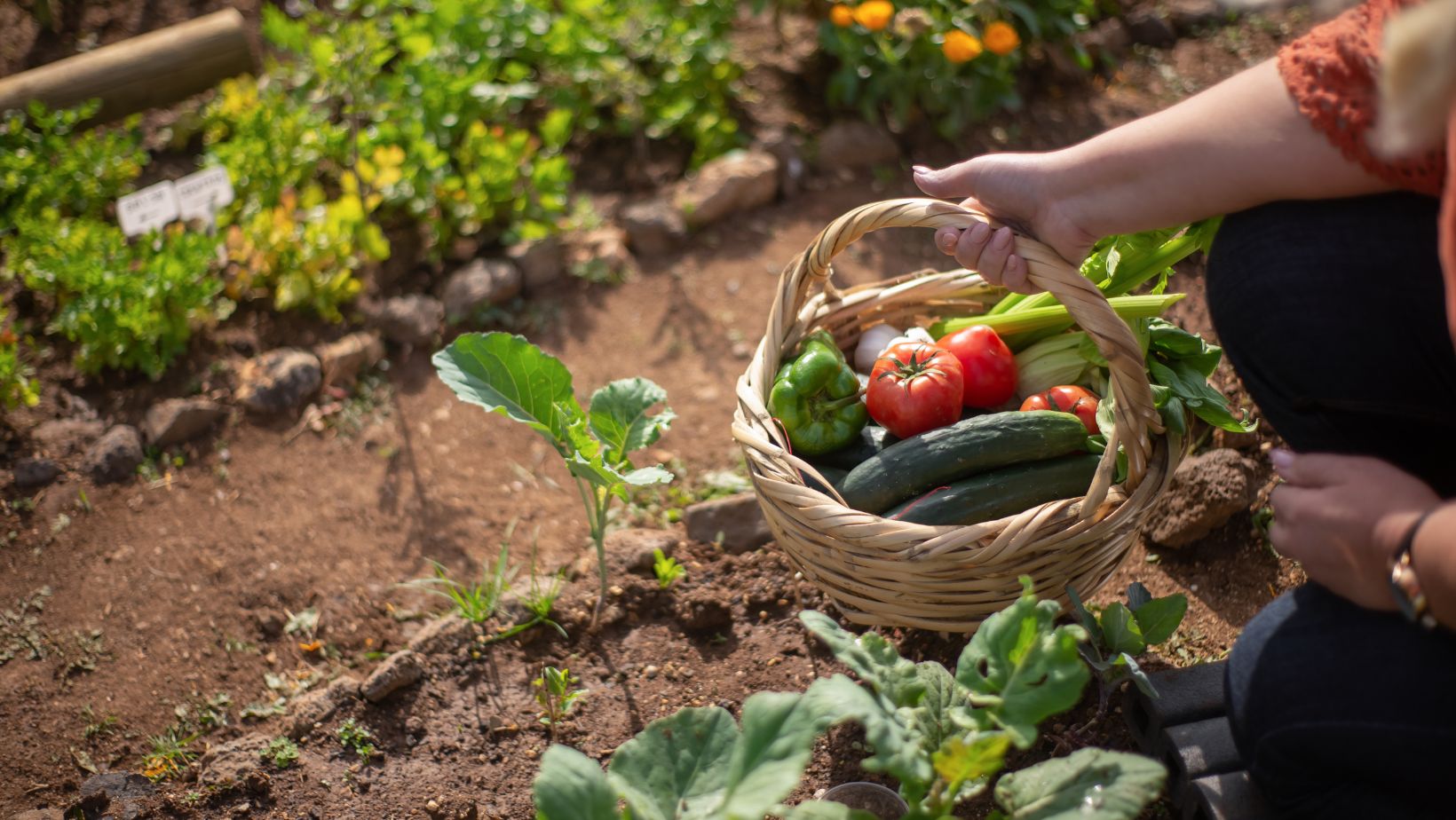 kid gardening set