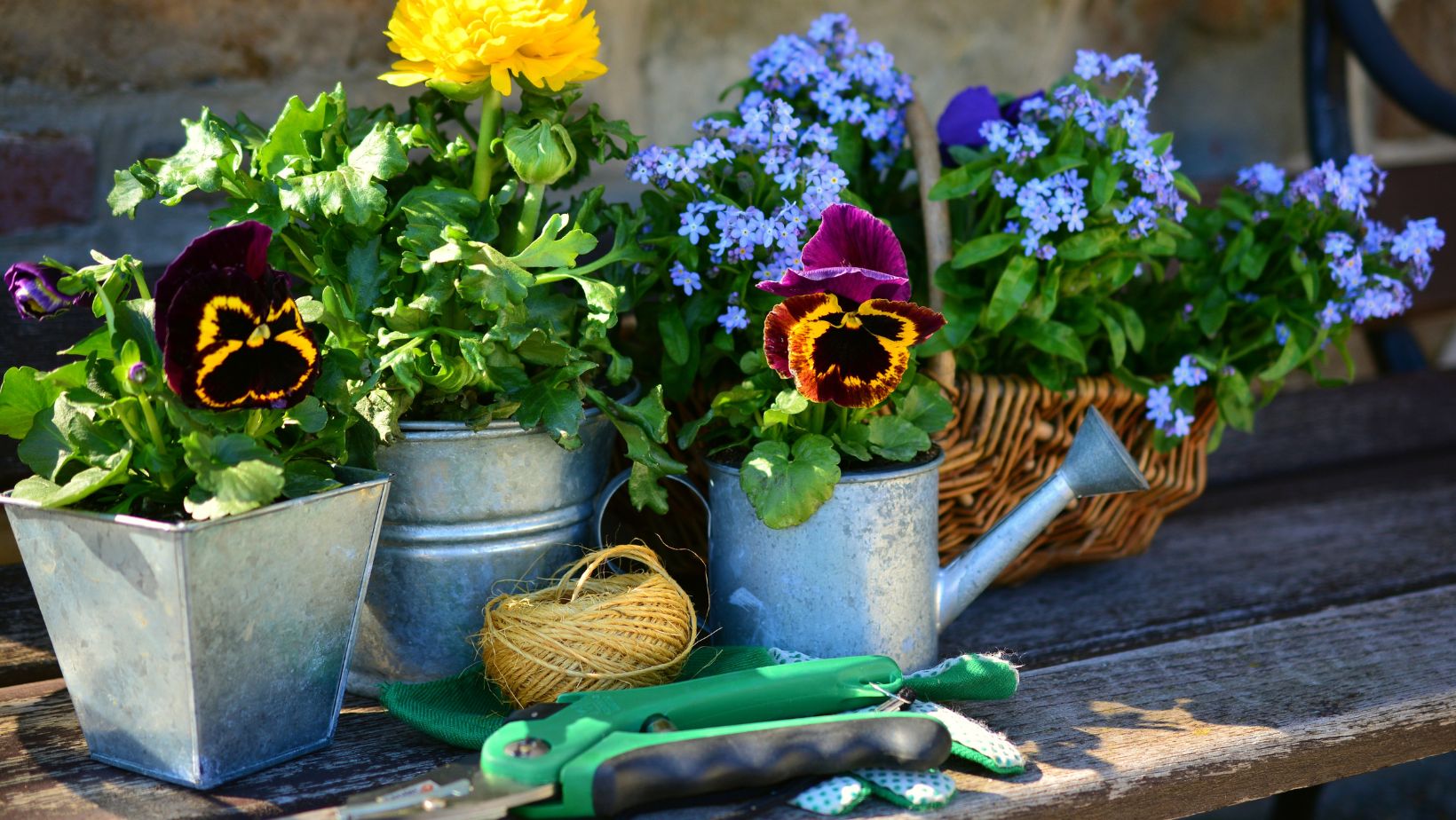 kid gardening set