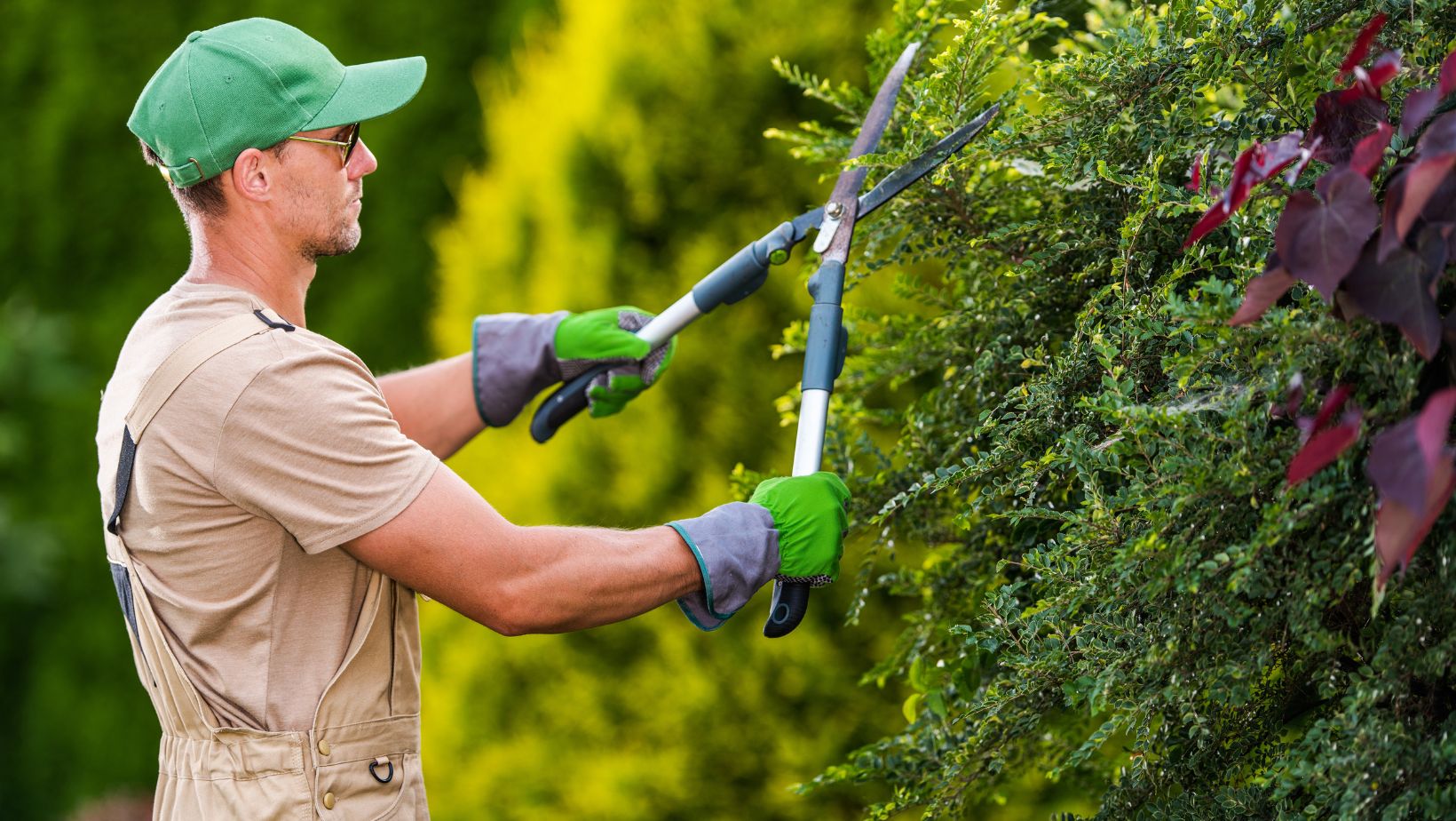 commercial gardening and fruit farming